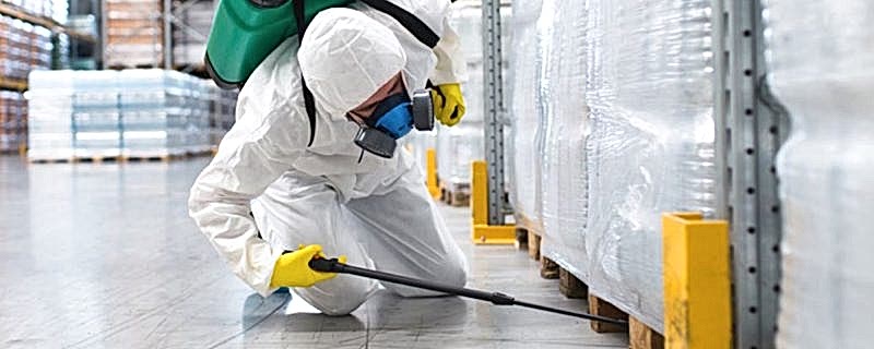 Antalya Kara Sinek İlaçlama