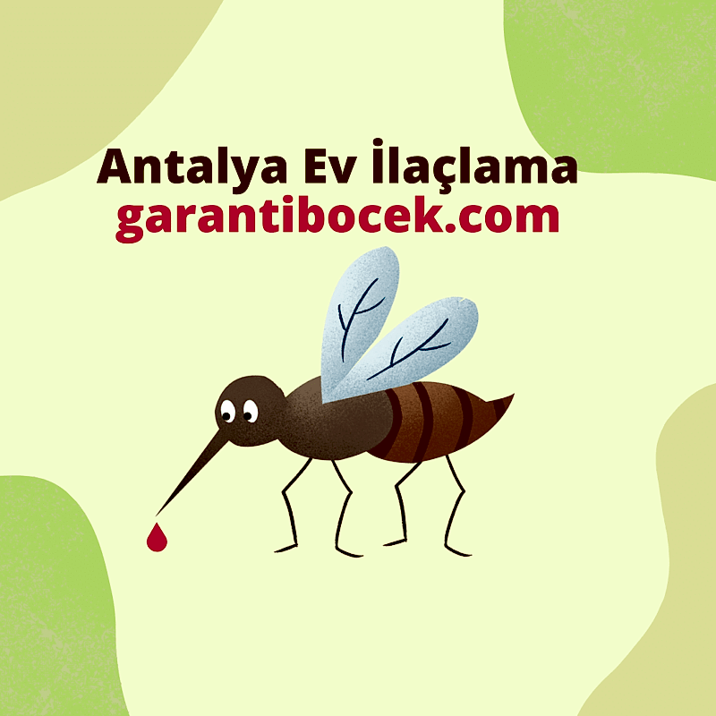Antalya-Ev-Ilaclama