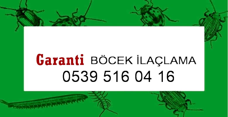 antalya böcek ilaçlama